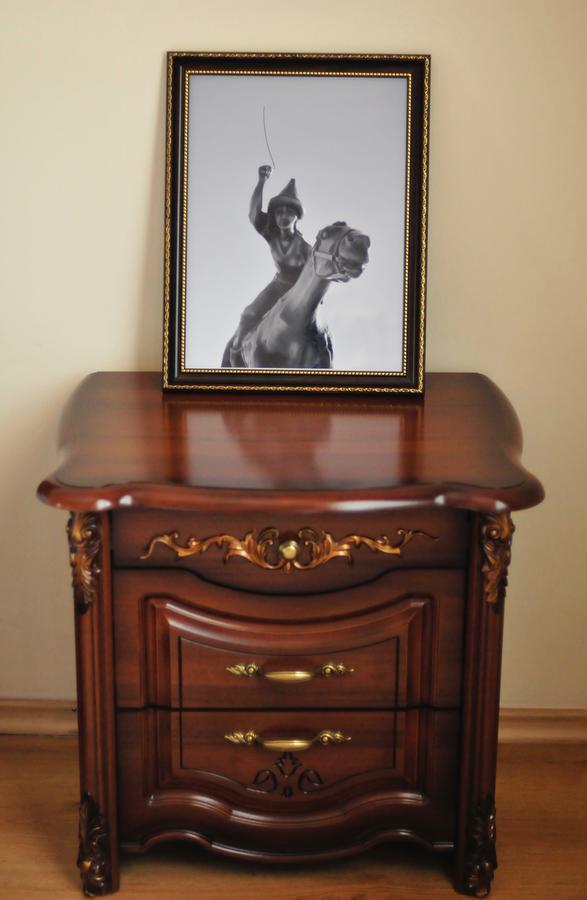 Hotel Sirdaria Kyzylorda Esterno foto